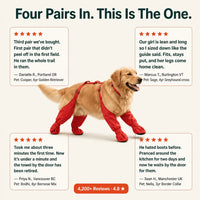 The Waterproof Dog Boots with Suspenders