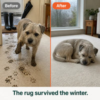 The Waterproof Dog Boots with Suspenders