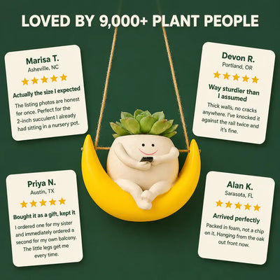 The Swing Chair Planter - Hanging Resin Pot
