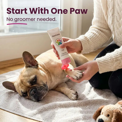 PawTint - Pet-Safe Organic Fur Dye
