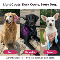 PawTint - Pet-Safe Organic Fur Dye