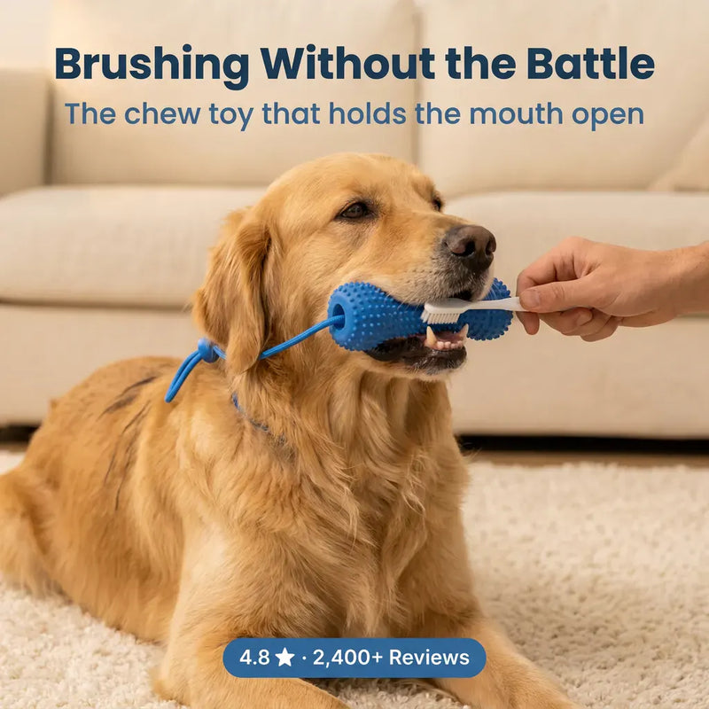 BrushBuddy - Dog Dental Prop & Toothbrush Set
