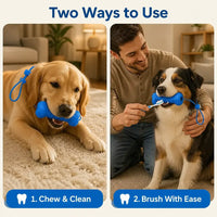 BrushBuddy - Dog Dental Prop & Toothbrush Set