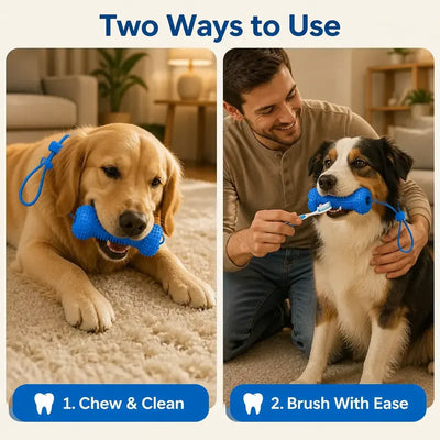 BrushBuddy - Dog Dental Prop & Toothbrush Set