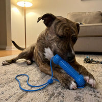 BrushBuddy - Dog Dental Prop & Toothbrush Set