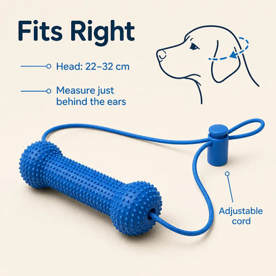 BrushBuddy - Dog Dental Prop & Toothbrush Set