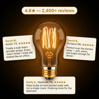Antique Vintage Edison Bulb