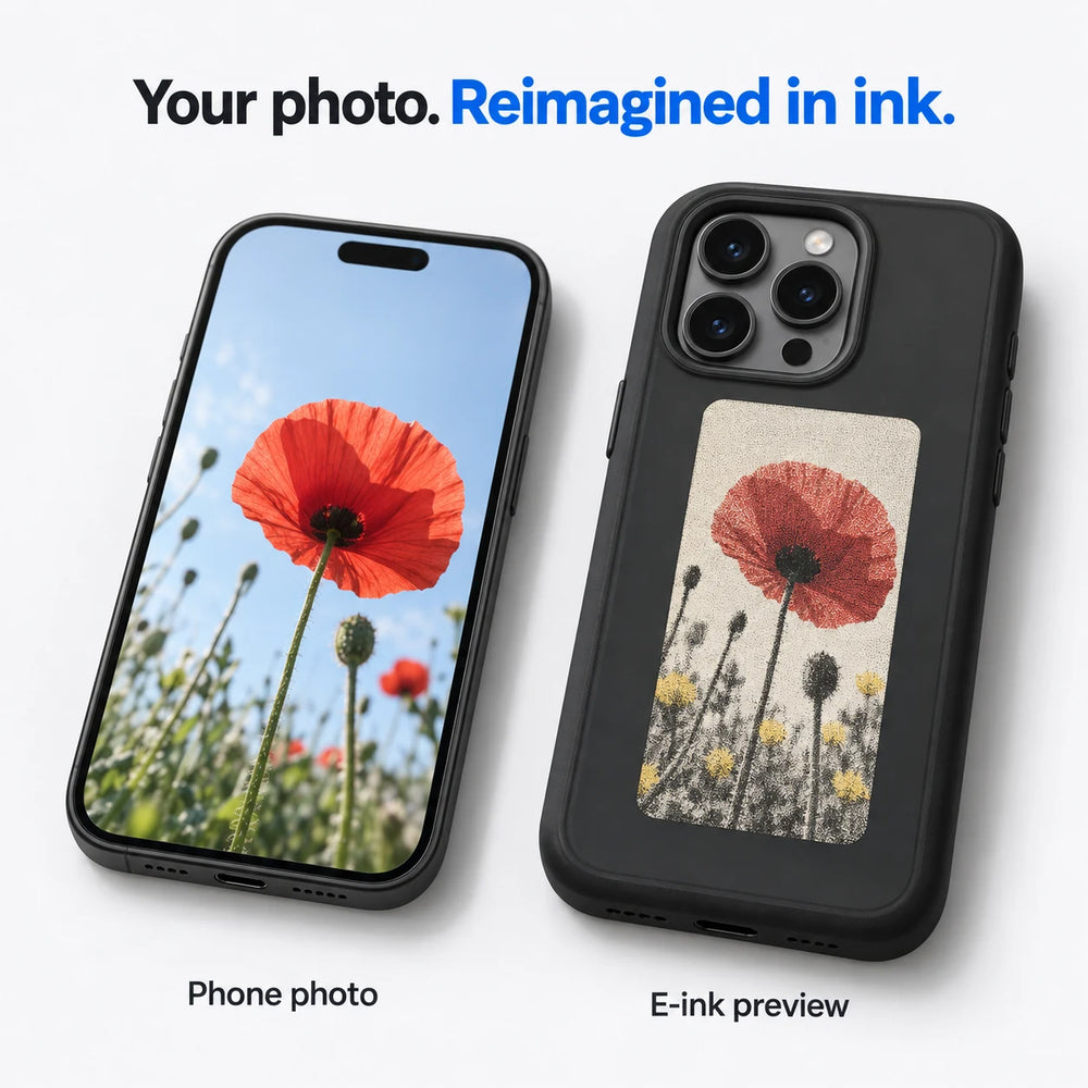 Illustrative comparison of a phone photo and its four-color e-ink interpretation