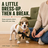 Supervised short dress-up session beside a seated owner