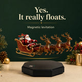 Magnetic levitation, a closer look