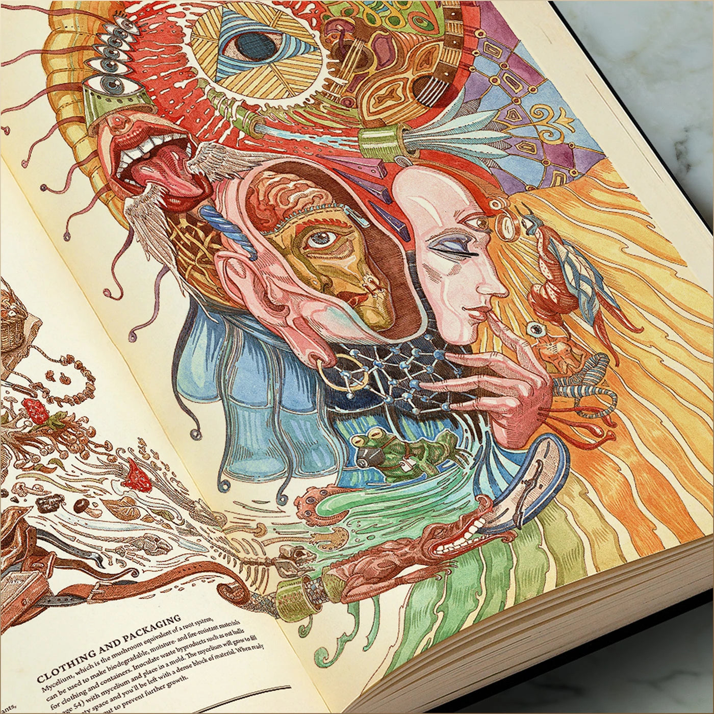 A Cover to Explore